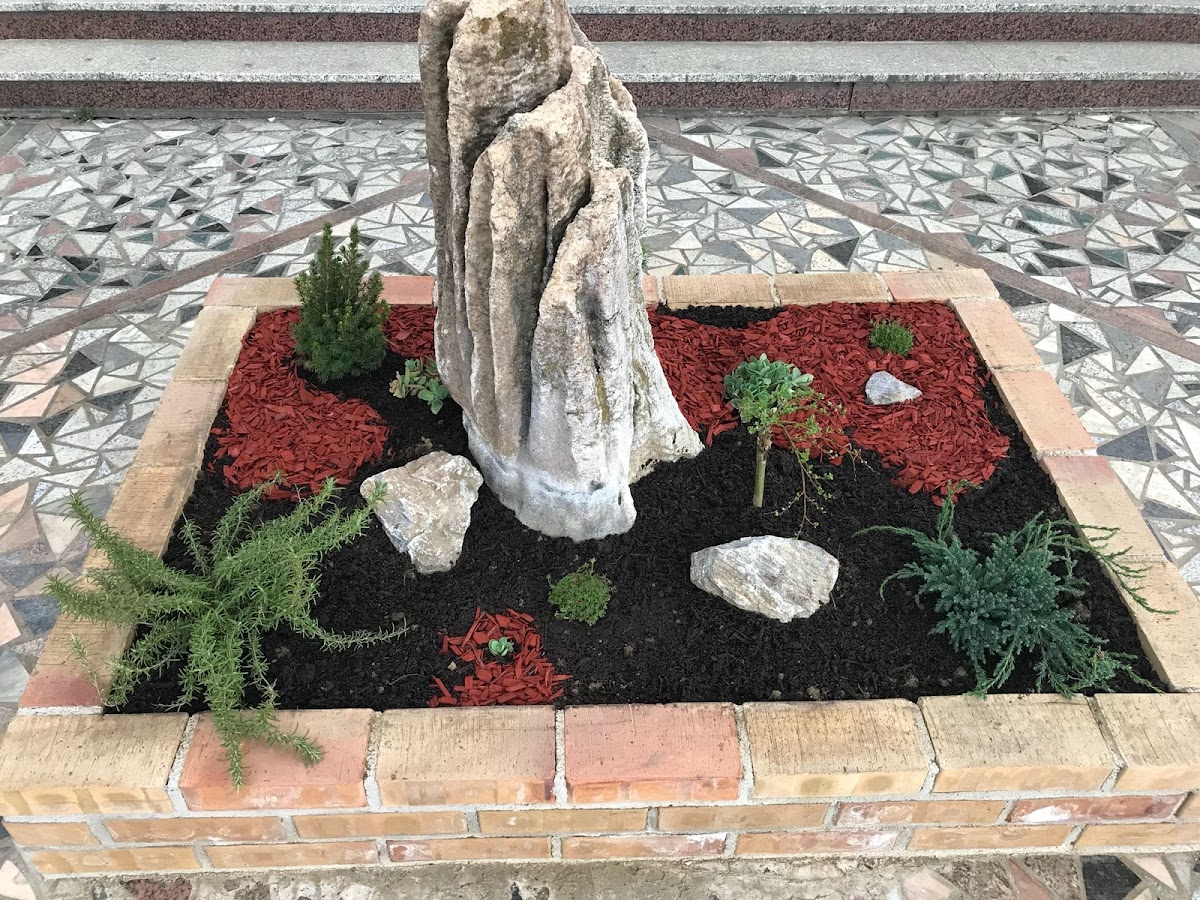 GARDEN bar caffe - 3