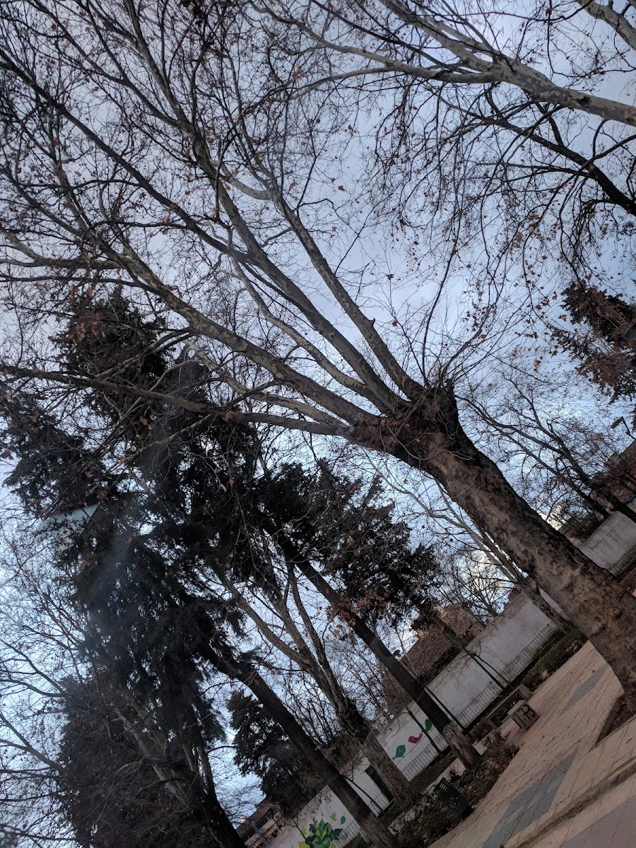 Cafe restaurant pâtisserie la rose - 4