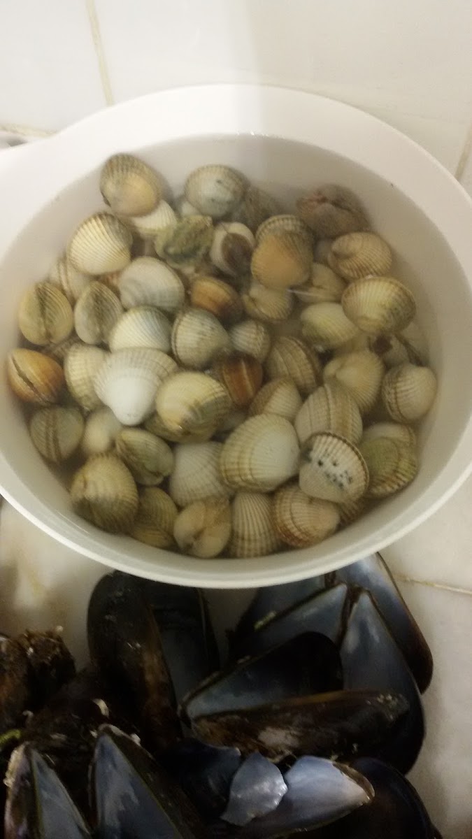 Café Bar Armonía - 5