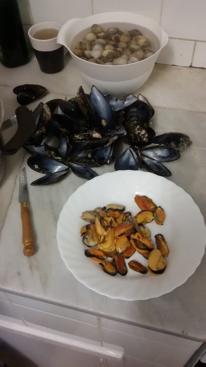 Café Bar Armonía - 6