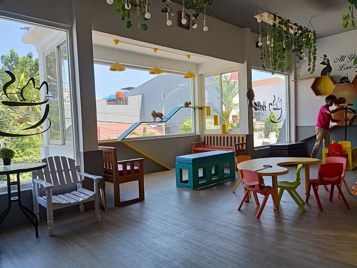 Hello Cat Cafe