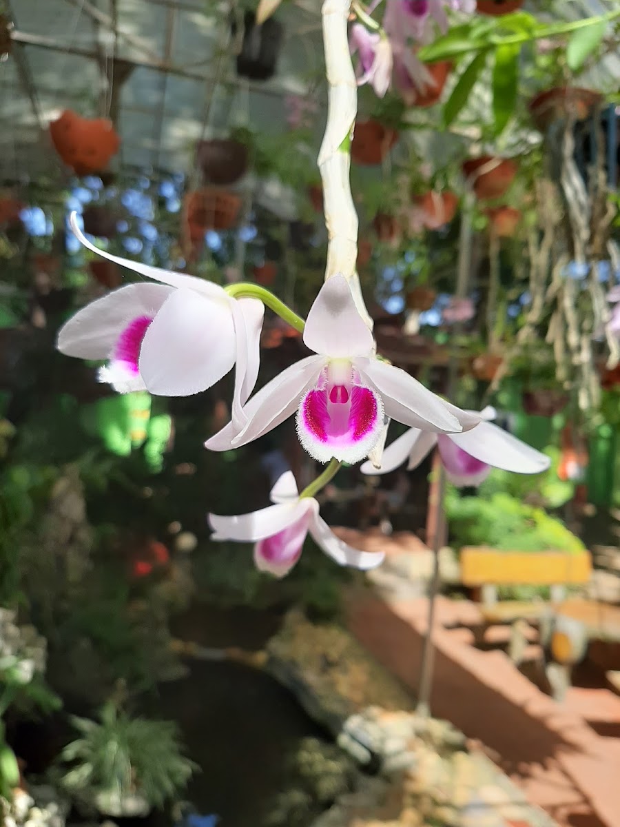 Cà Phê 68 karaoke - 8