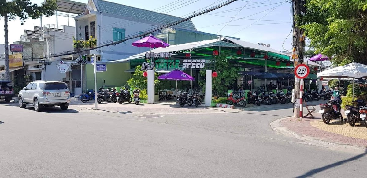 Coffee Motor Turtle Speed