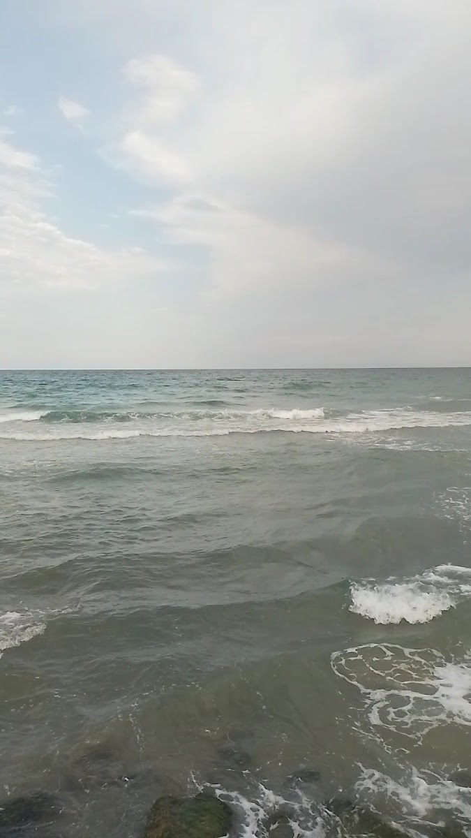 Hamit Büfe & Tea House - 2