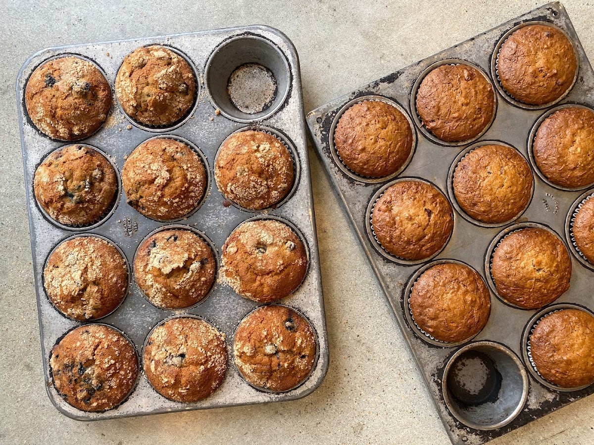 Saladelia - Marsico Hall @ UNC - 8