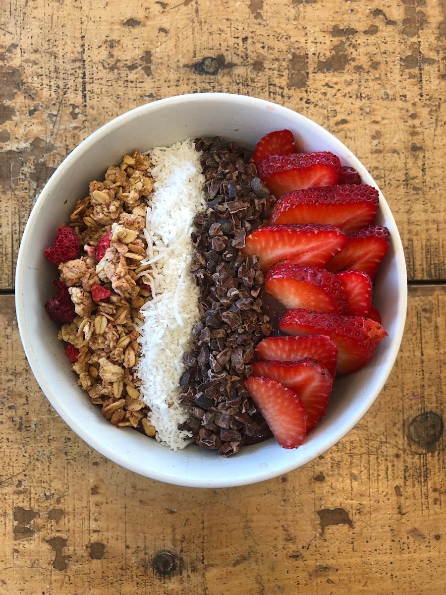 Papercup Coffee Labrador - 5