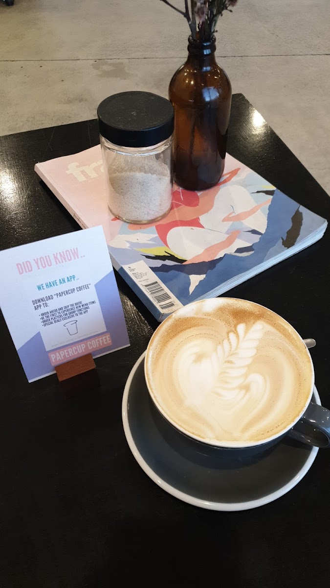 Papercup Coffee Labrador - 8