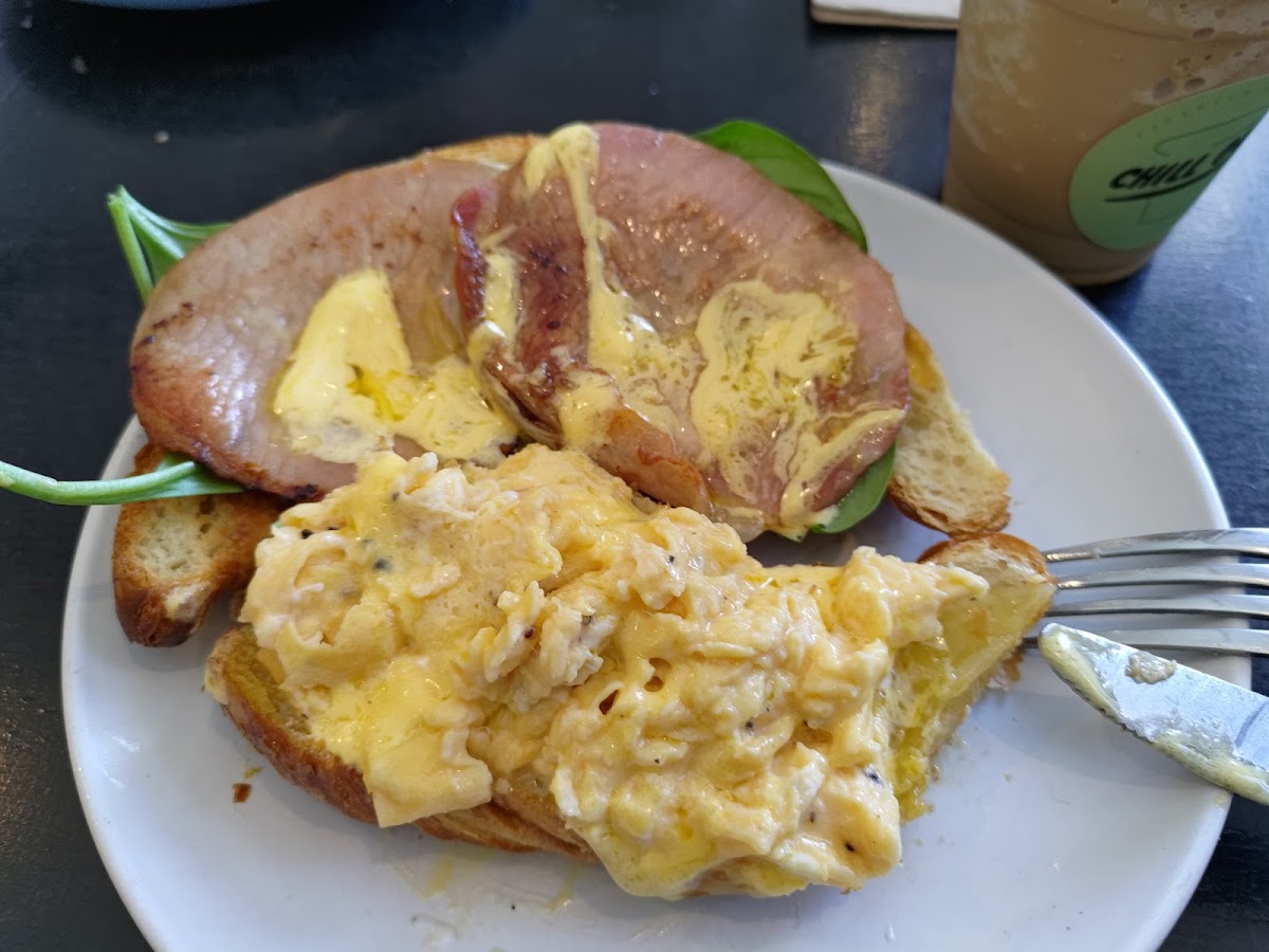 Papercup Coffee Labrador - 9