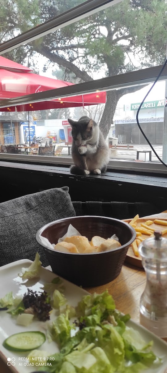 Ghia Cafe and Food - 5