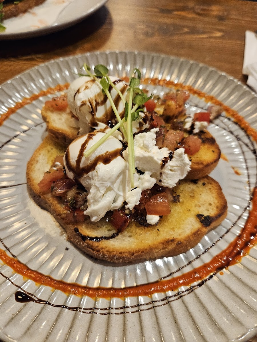 Kinky Lizard on Hay - 4