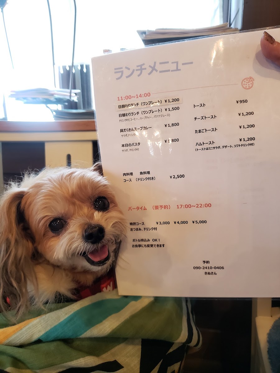 Wanstone Cafe Kinu - 10