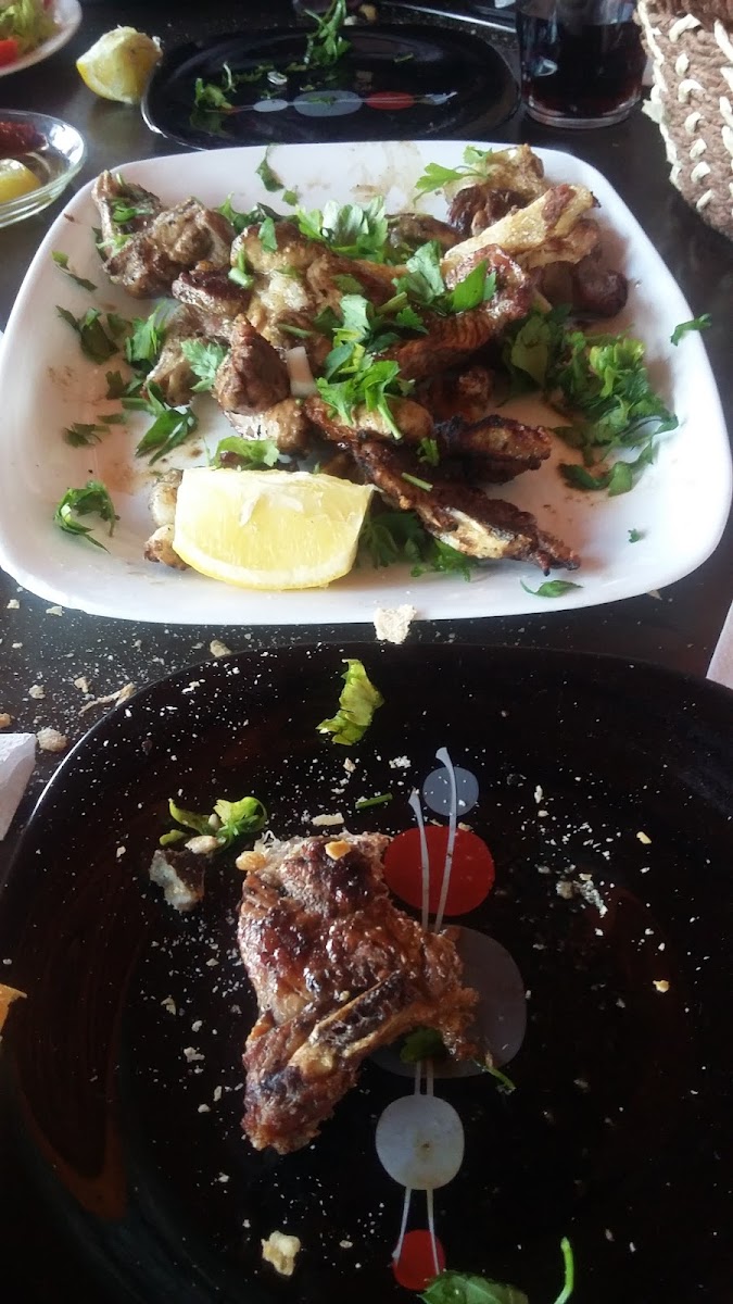 Café Om Hammamet south - 9