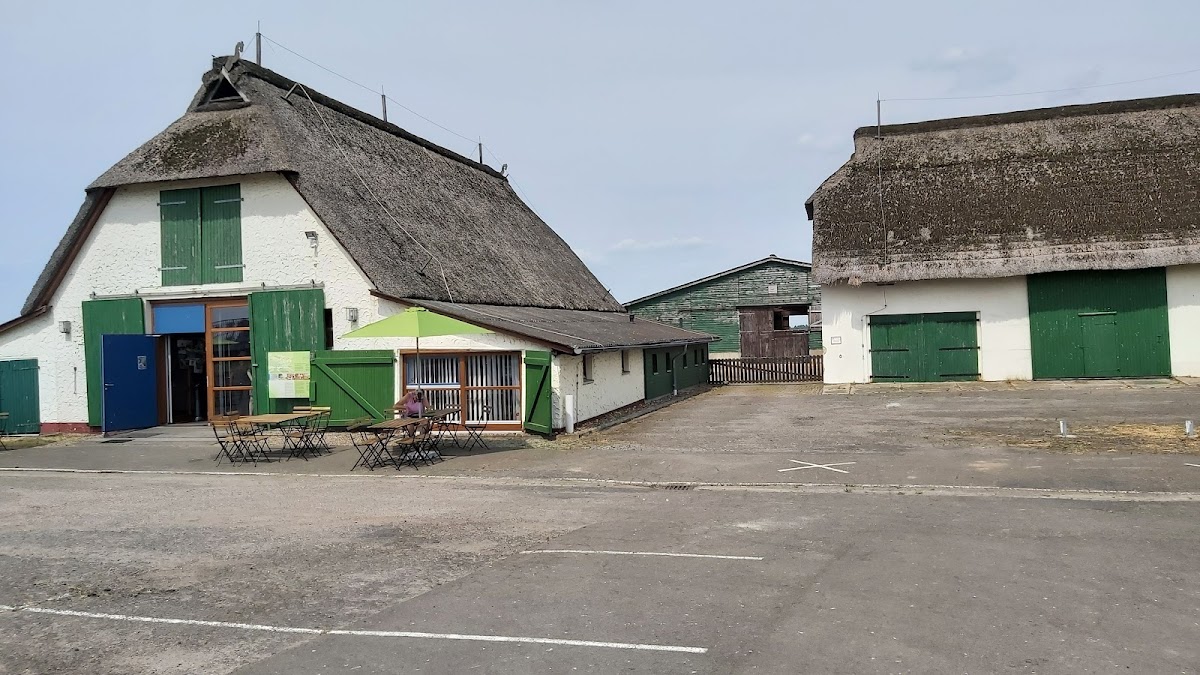 NABU Schäferhof und Café am Dümmer - 4
