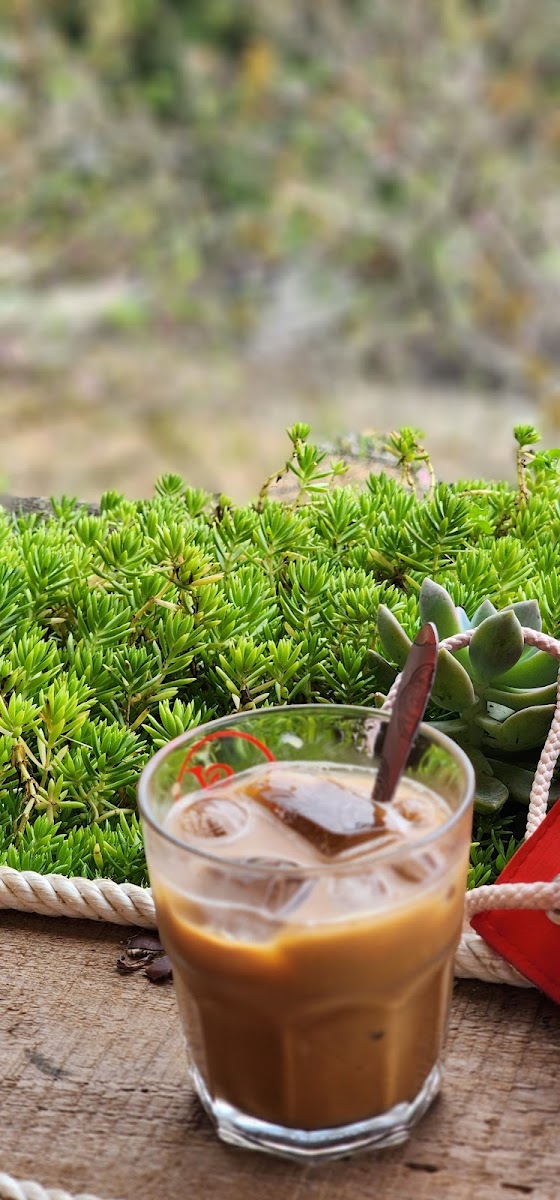 Huân Đậu Đậu Coffee & Homestay - 10