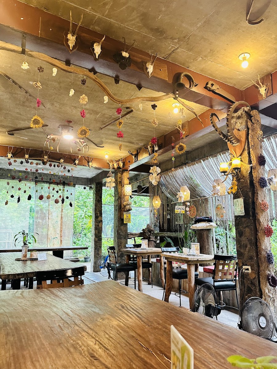 CAFE MOLAVE AND SOUVENIRS