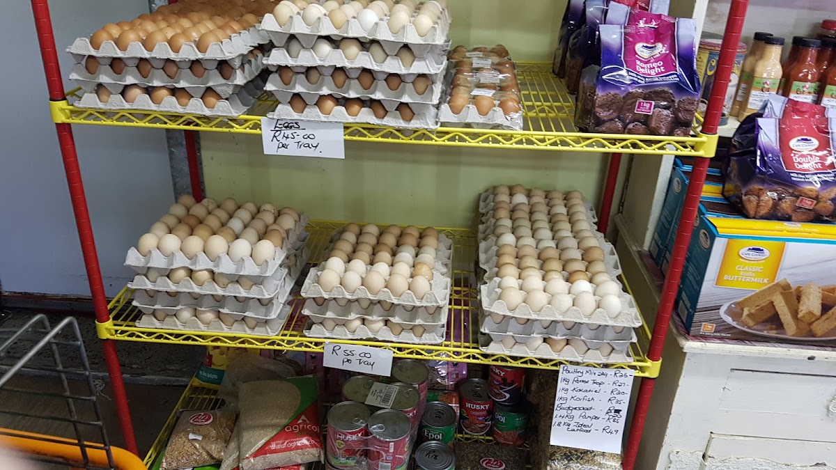 Rensia Kekkel Hekkie