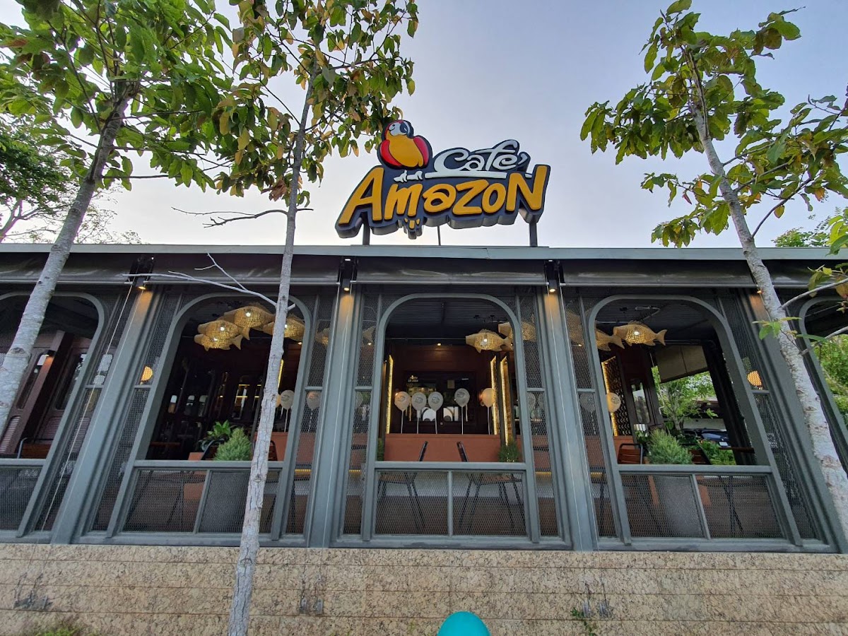 Café Amazon Banana Fan Sea