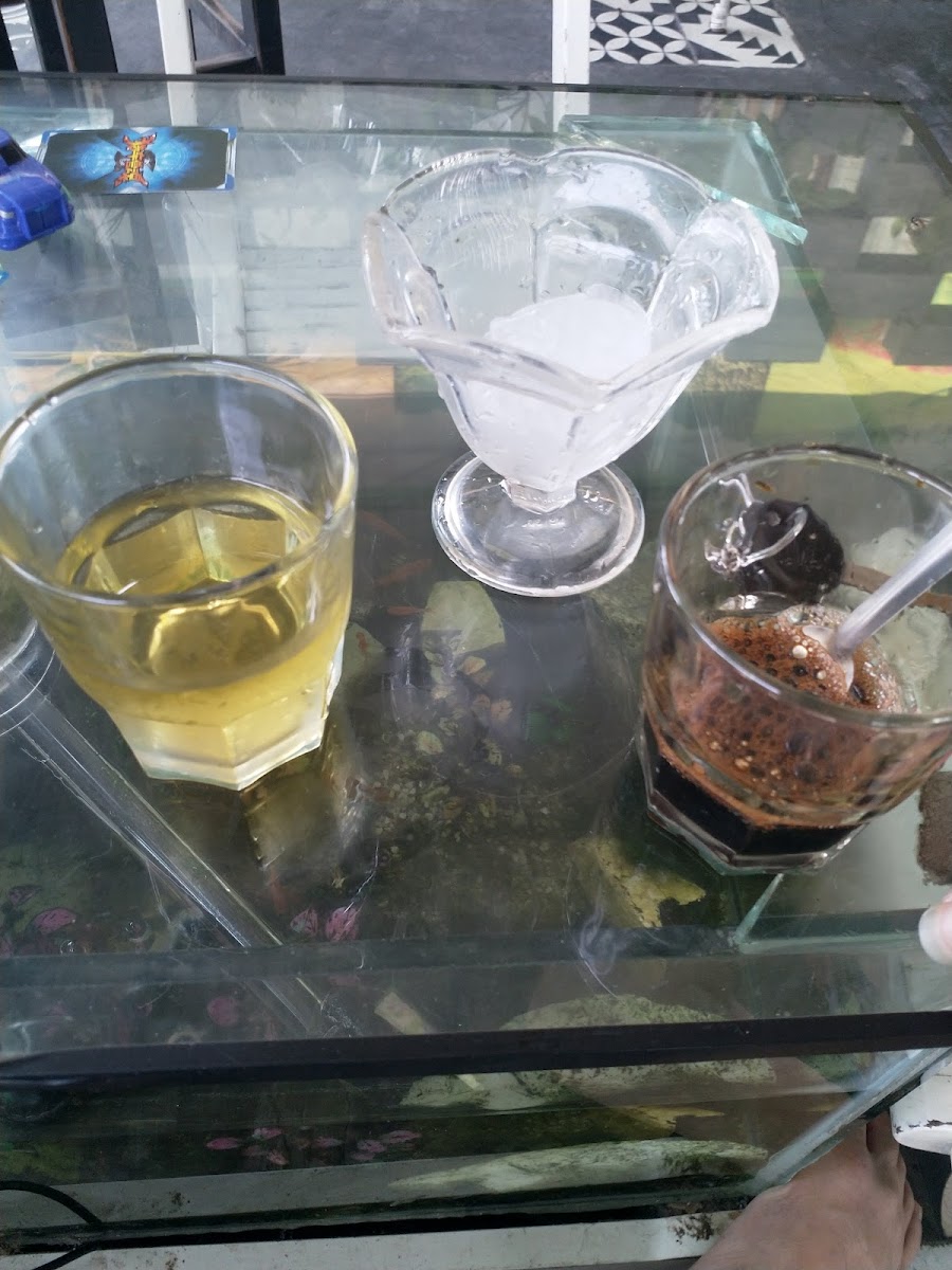 Ukulele Coffee Milk Tea - 10