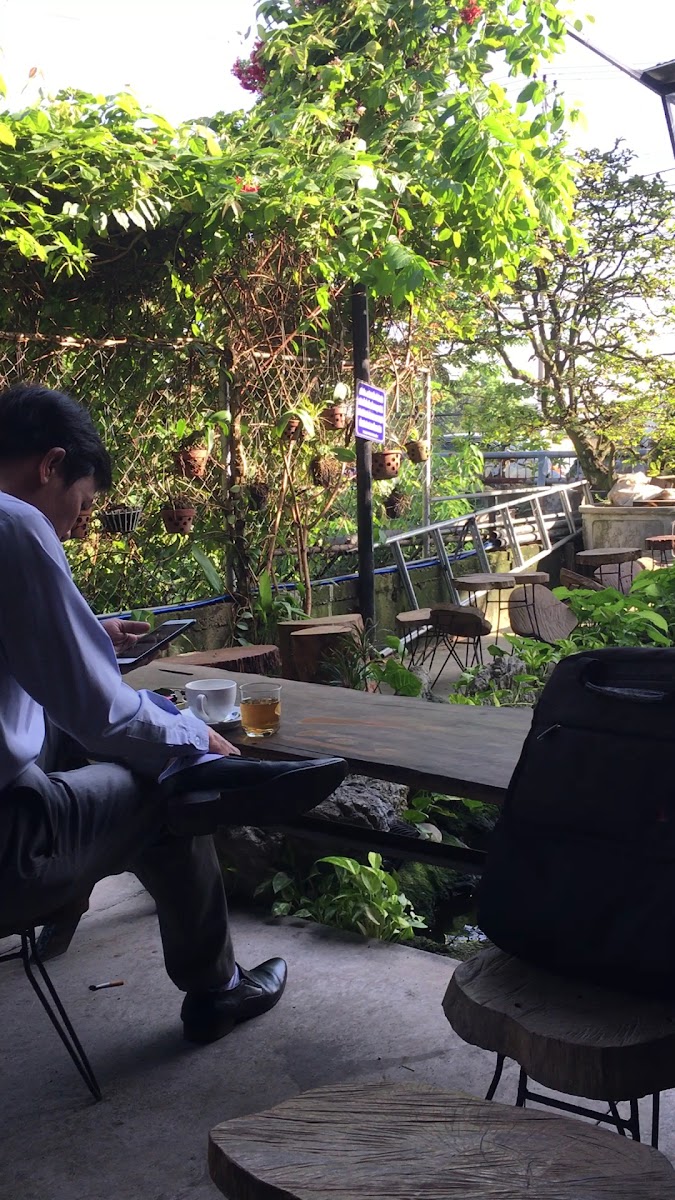 Cafe Cổ Mai Vàng - 2