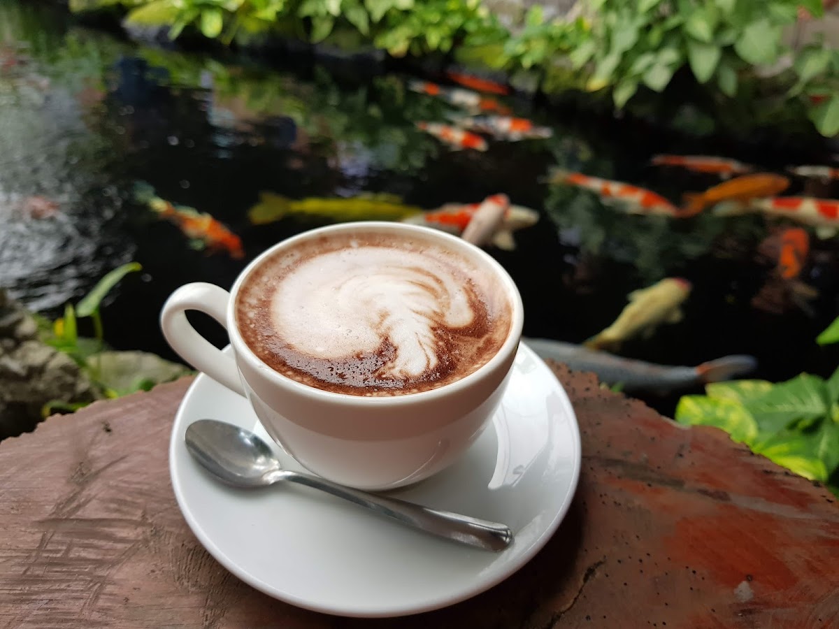 Cafe Cổ Mai Vàng - 6