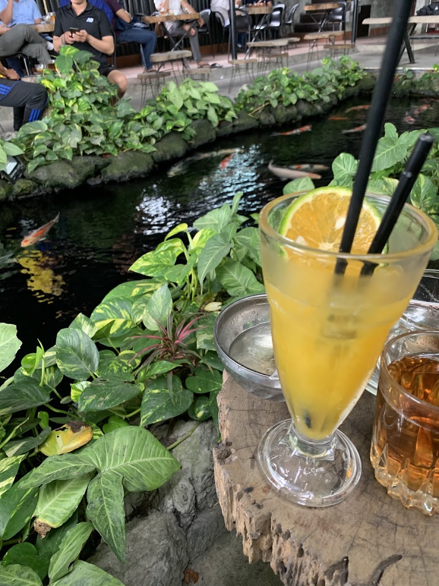 Cafe Cổ Mai Vàng - 9