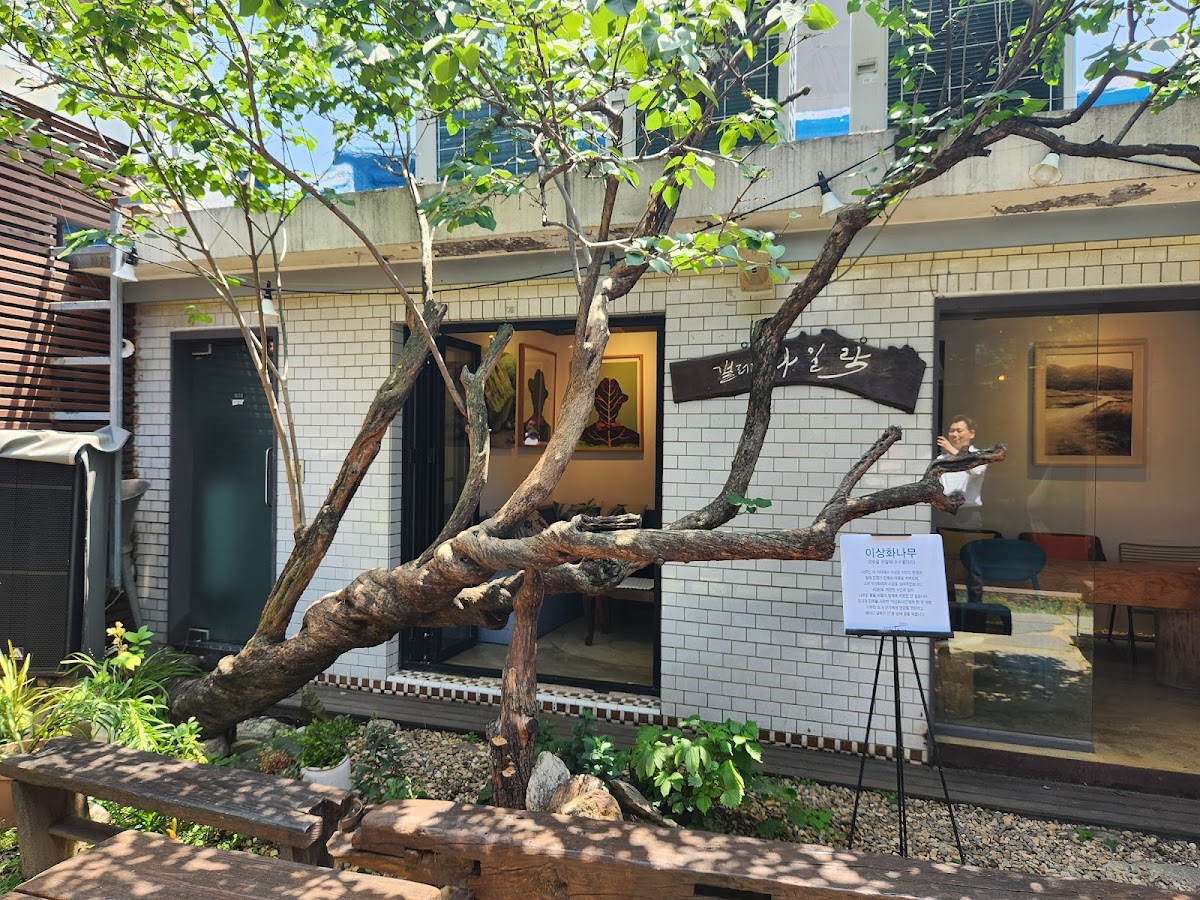 Cafe Lilac Garden - 4