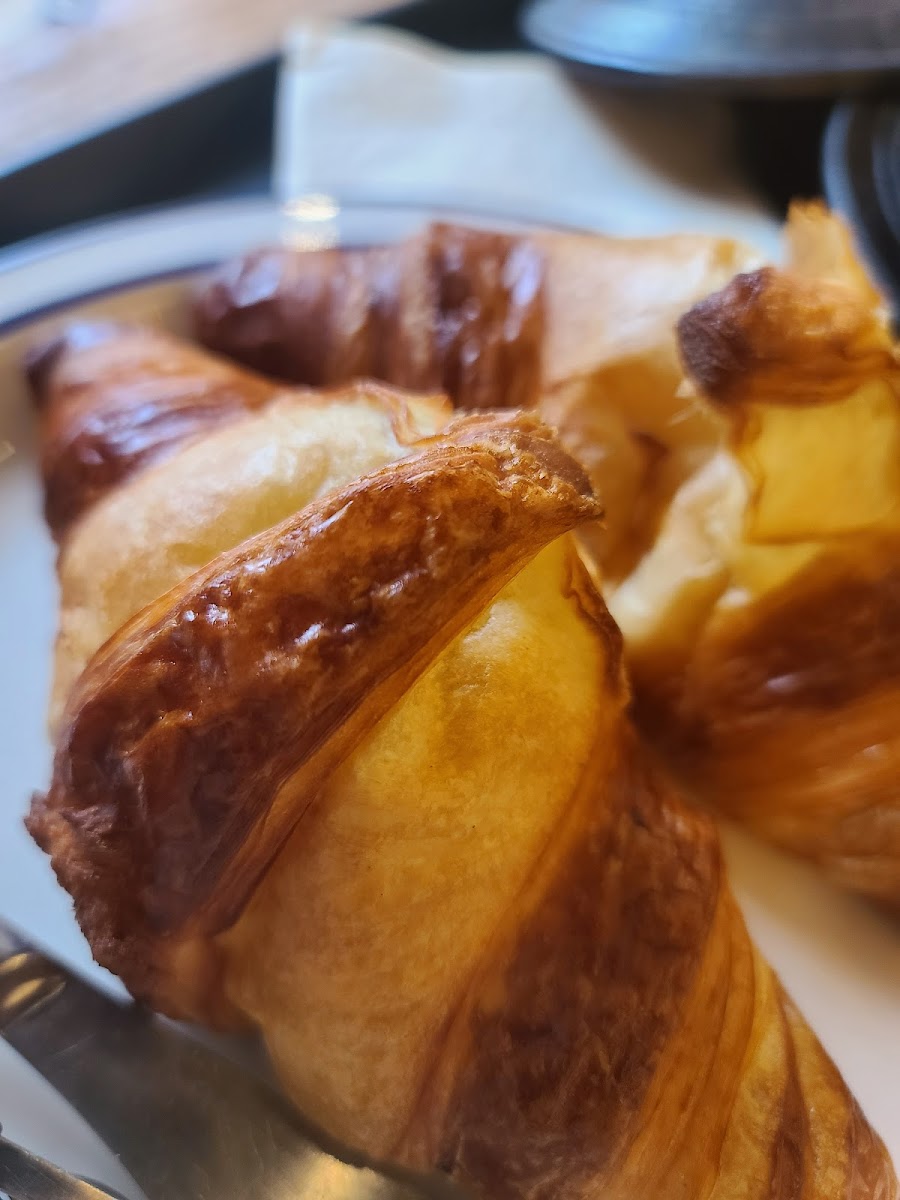 Cafe Lilac Garden - 5