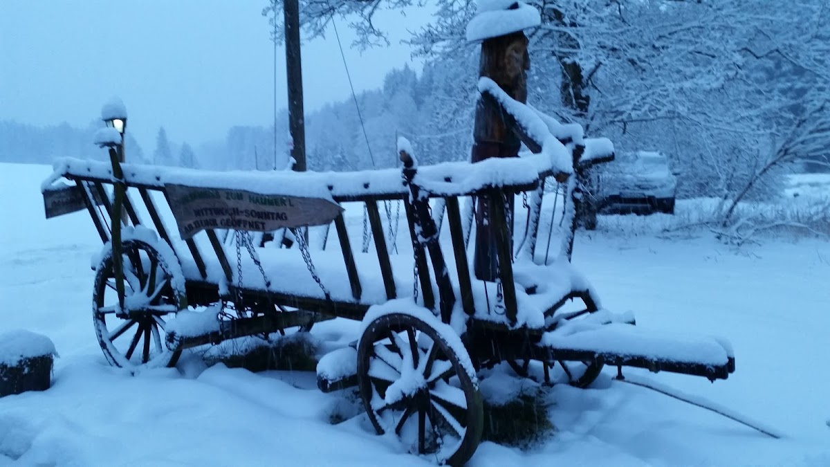 Waldimbiss 'Zum Hammerl' - 4