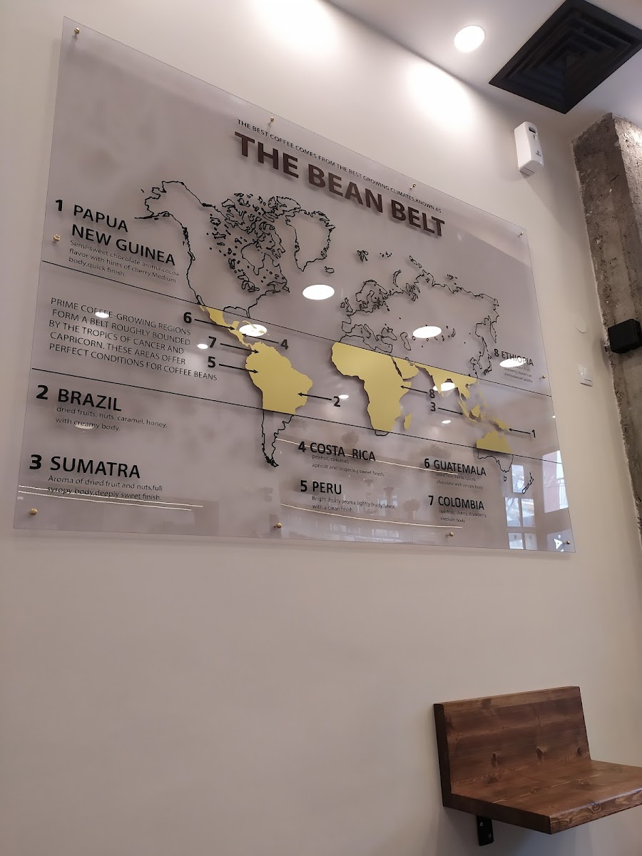 TULIP espresso bar - 2