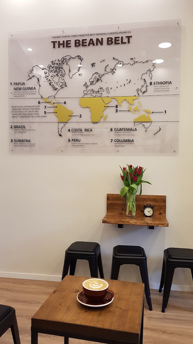 TULIP espresso bar - 3