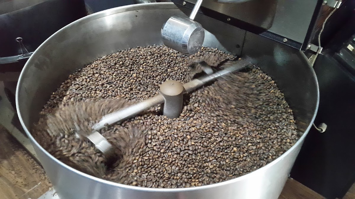 Kopi Luwak Roast House and Cafe - 8