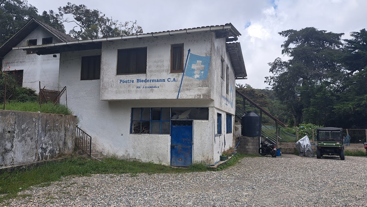 Postres Biedermann (suizos) - 3