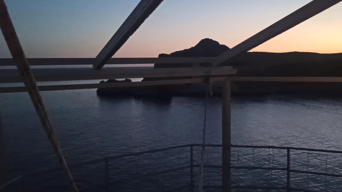 Sleepy Dragon Cafe - 2