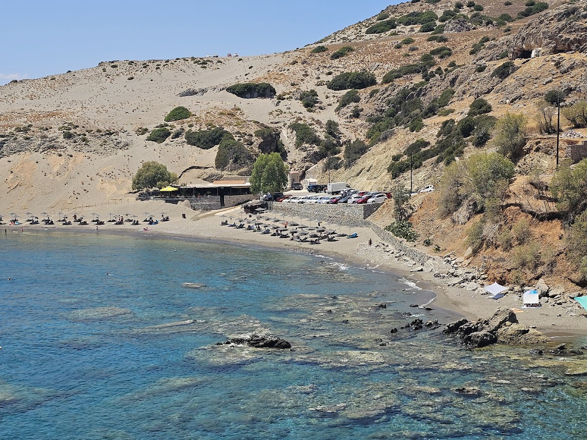 Sleepy Dragon Cafe - 4