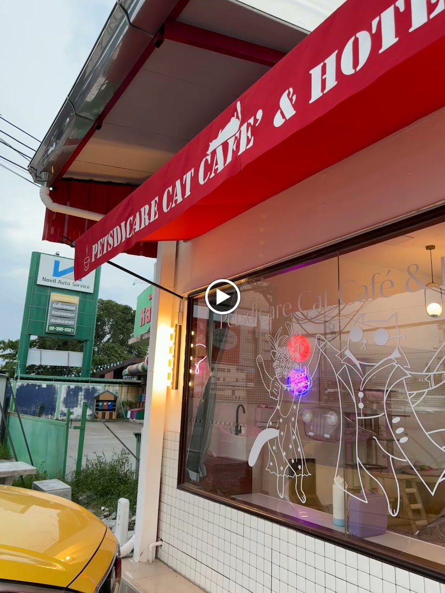 Petsdicare cat cafe & hotel