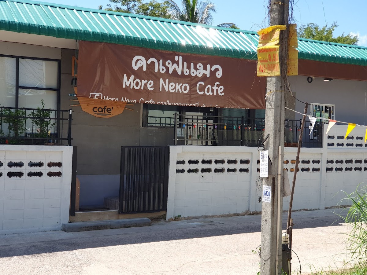 More Neko Cafe' คาเฟ่แมวอุดรธานี (Cat Cafe' Udonthani)