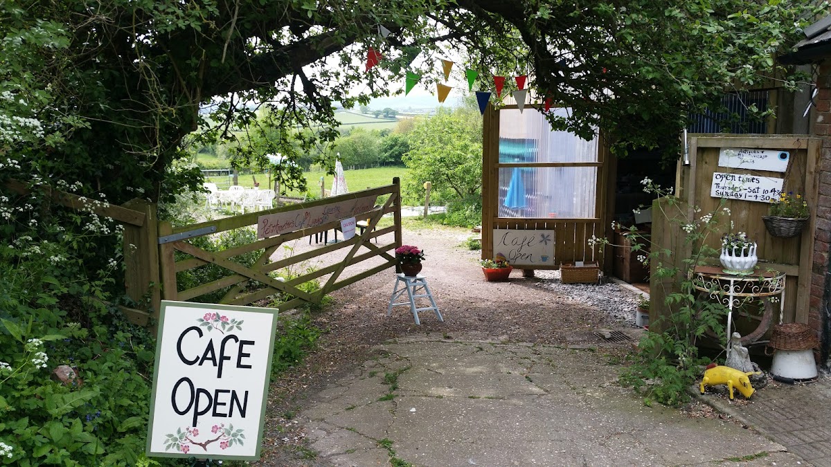 PetrAnnettes Vintage Barn Café - 4