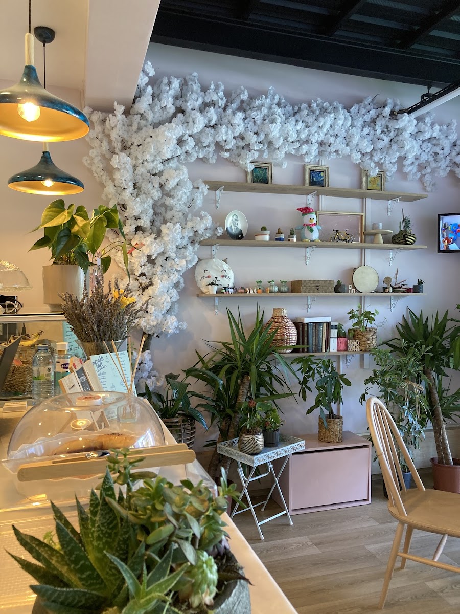 Meraklı Kedi Kafe - 2