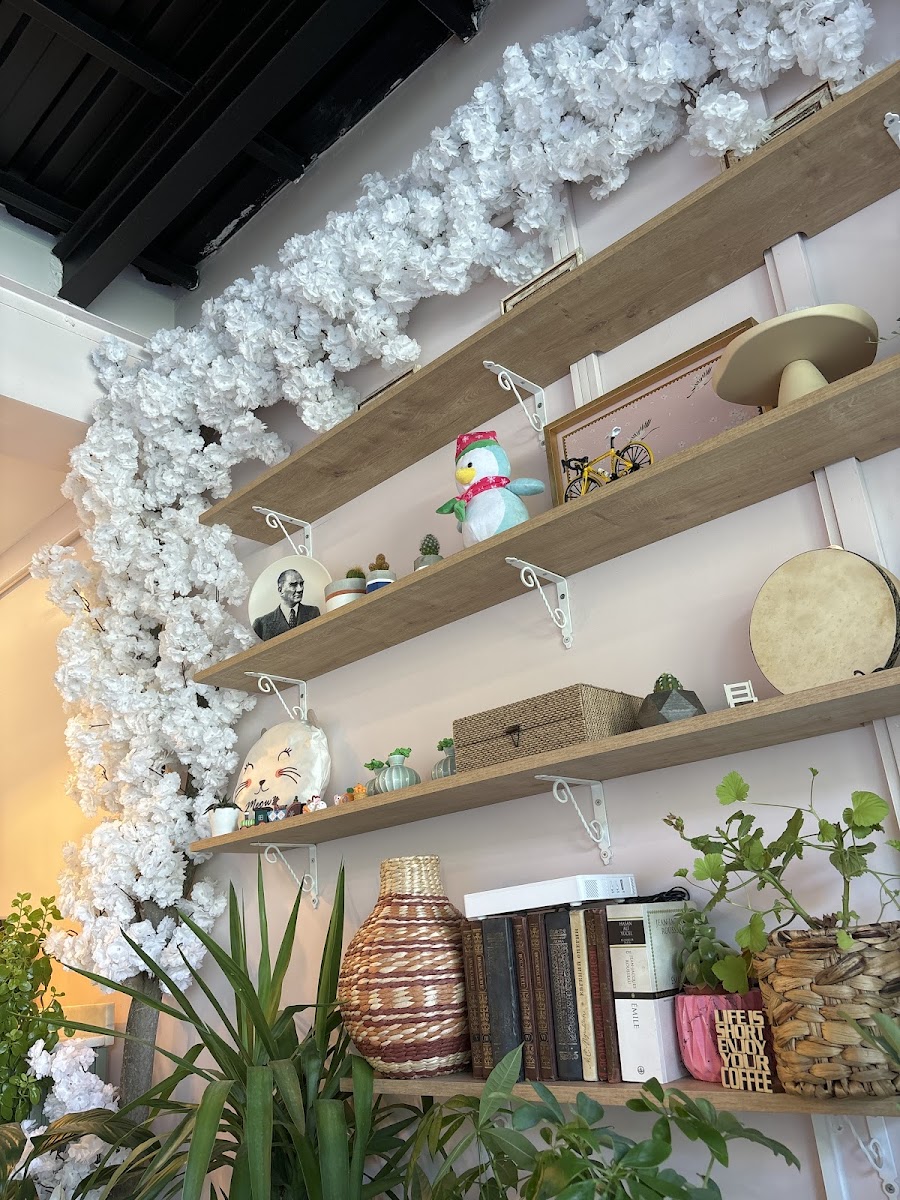 Meraklı Kedi Kafe - 4