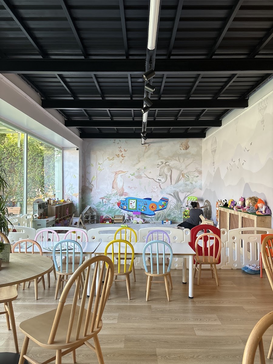 Meraklı Kedi Kafe - 6