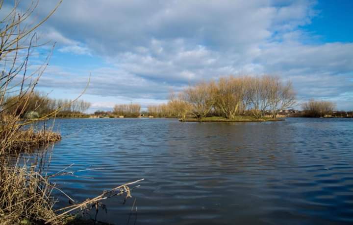 The 4 Seasons Eatery - 2