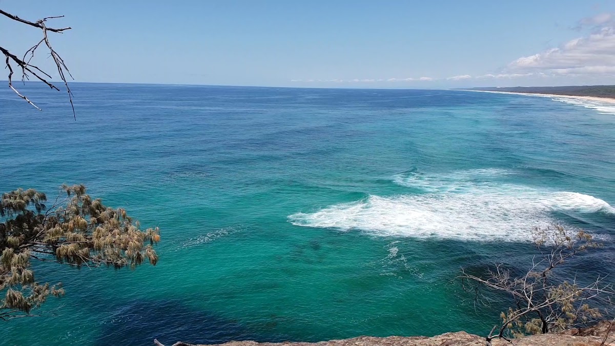 Loaves at the Point - 2