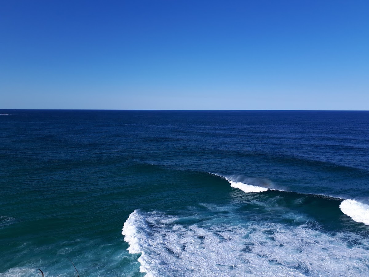 Loaves at the Point - 4