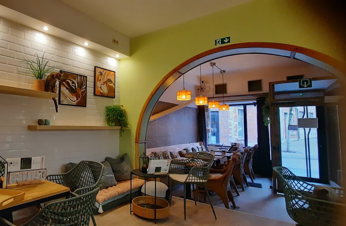 Poescafé Cat Café