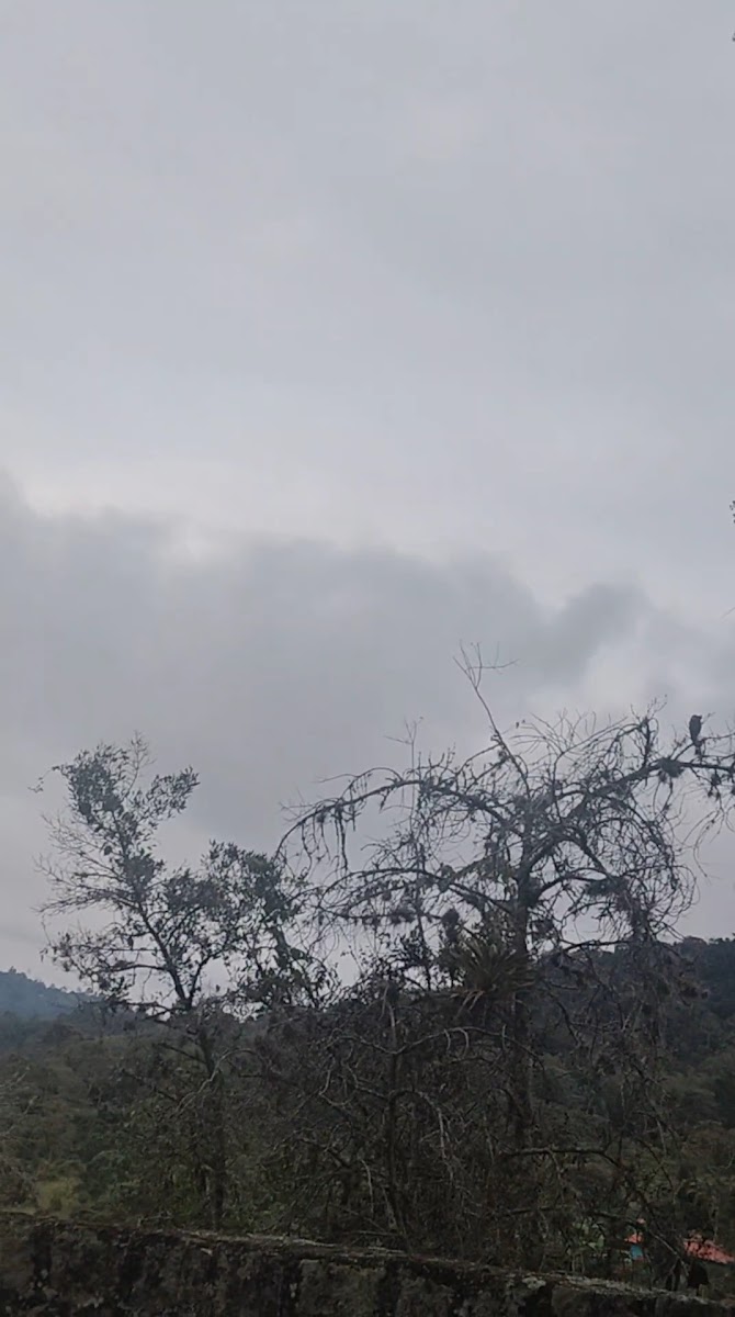 San Honorato Pan Y Café - 3