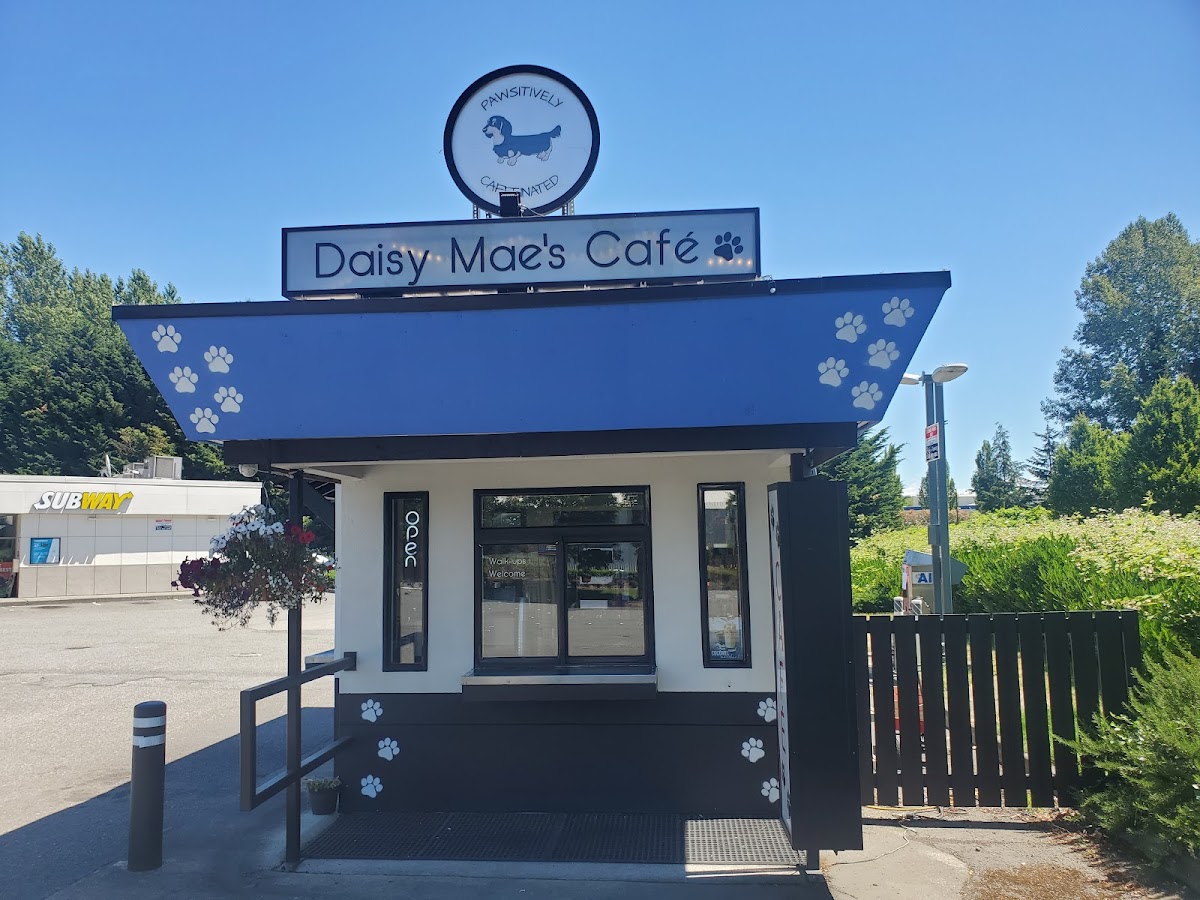 Daisy Mae's Cafe - 3