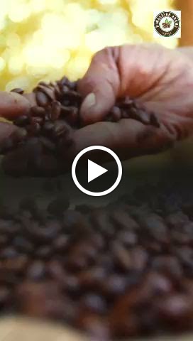 Aroma Himalayan Coffee - 6