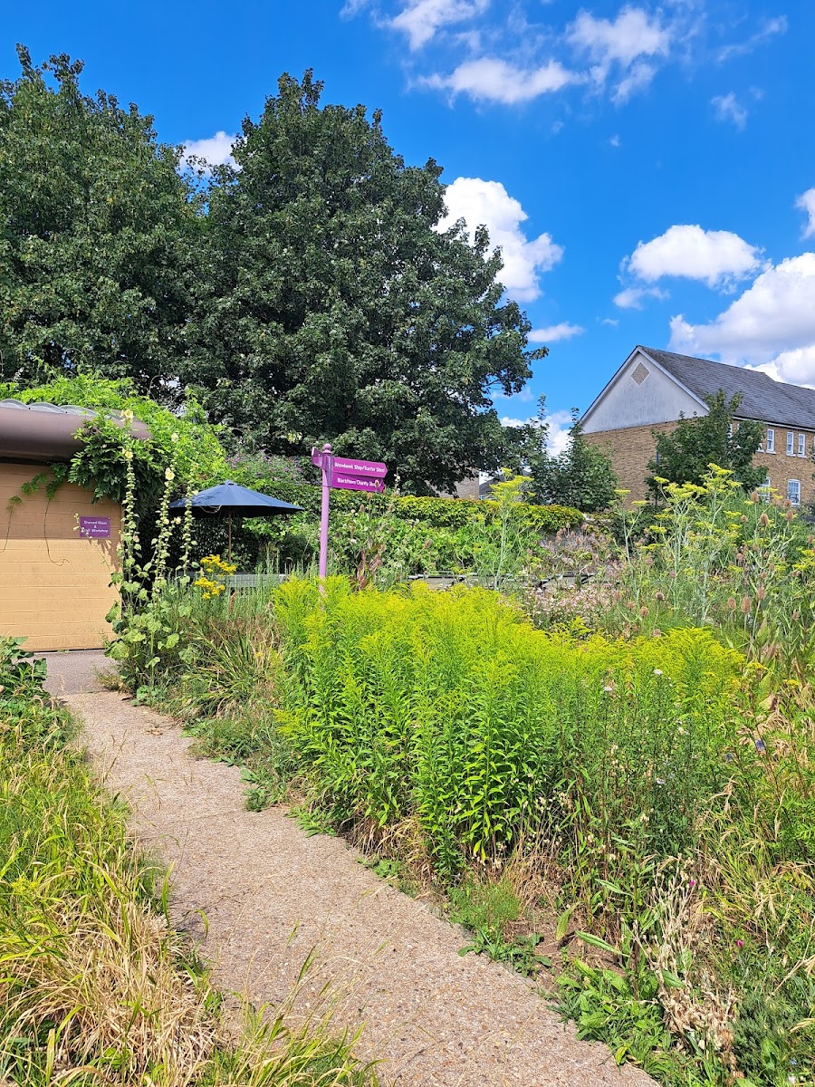 Blackthorn Trust Cafe - 3