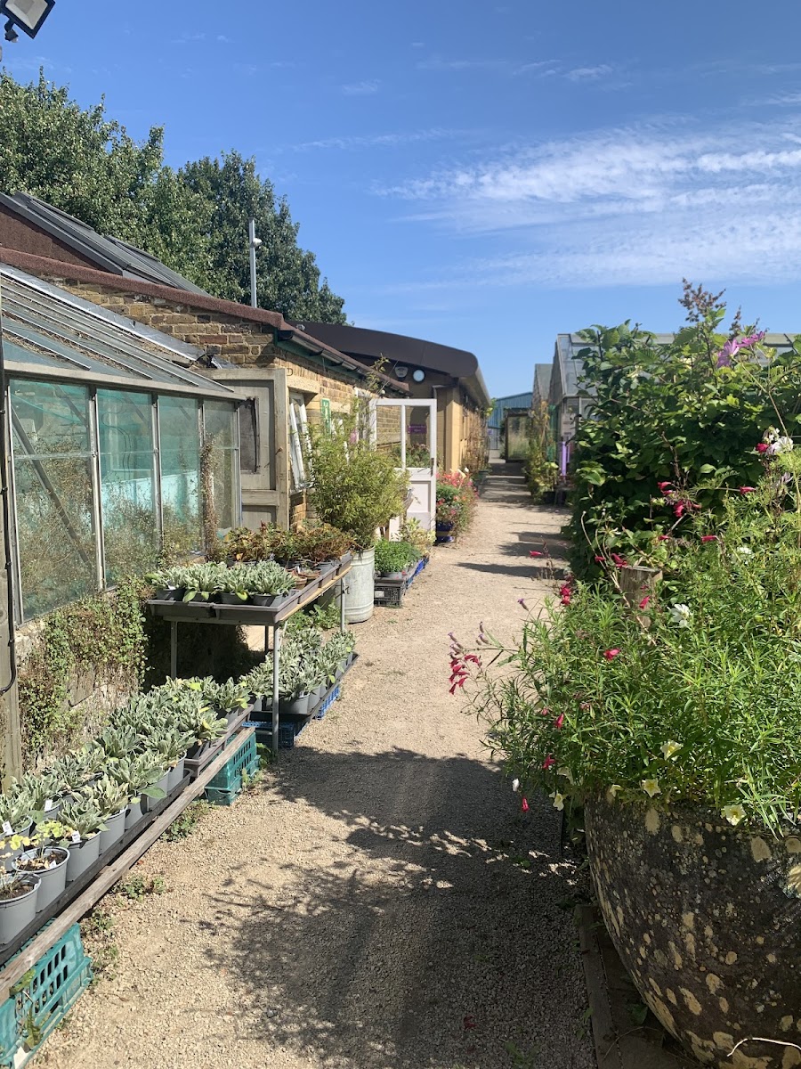 Blackthorn Trust Cafe - 4
