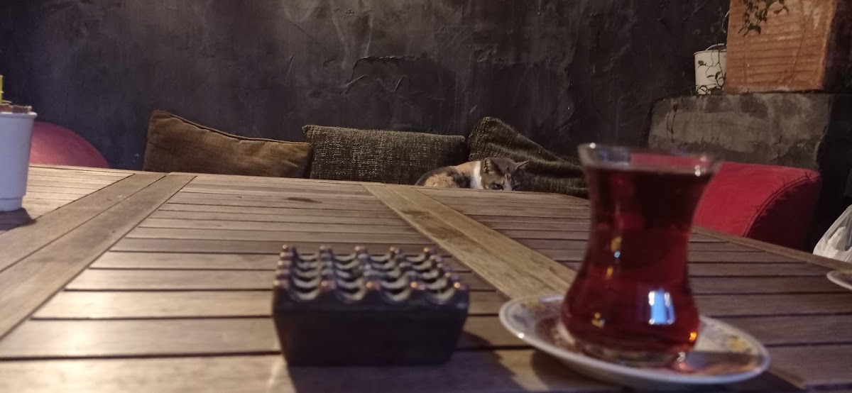 Böğürtlen Butik Cafe - 7